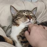 JINSHIM 진심이 - @_jinshim - Instagram