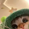 Jinyu9988 - @jinyu9988 - TikTok