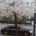 Jina Han - @jina5033 - Instagram