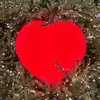 jinahan0202 - @jinahan0202 - TikTok