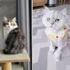 jina kang - @j.n.kang - TikTok