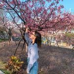 Jingjing Lin - @yingvivi.1027 - Instagram