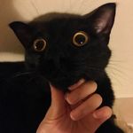 Jingru Luo - @jingru11307 - Instagram