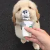 linjinhua - @linjinhua00 - TikTok