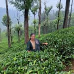 Jini George - @jiniraju1967 - Instagram