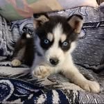 Jinna Sandoval - @clif.ford9992 - Instagram