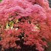 Jinny Johnson - @jinny.johnson - TikTok