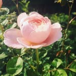 jinny smith - @_first_glance_photography_ - Instagram