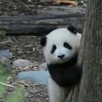 Jinping Guo - @jinpingguo_1211 - Instagram