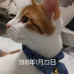 Jinrong Wang - @jinrong5068 - Instagram