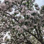 Jinrong Wang - @jinrongwangwang - Instagram