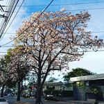 Jinwei  Li - @jinwei.li.5245 - Instagram