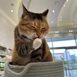 Jinwon Kim - @jinwon.kim.3760 - Instagram