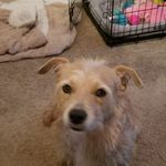 Jinx Hall - @jinxhall - Instagram