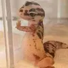 jinzeliu - @30972425905 - TikTok