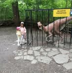 Jiri Cerny - Facebook