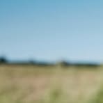 Jiri Cerny - Facebook