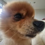 Jiwon Chung - Facebook