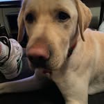 JJ McCormick - @jj09361 - Instagram