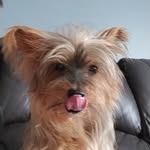 JJ - @jjryan578 - Instagram