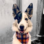 Jo Adkins - @johighway72 - Instagram