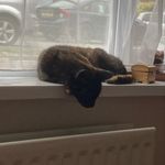 Jo Akers - @jomakers7 - Instagram