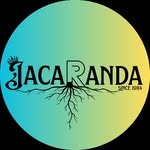 Joachim Albrecht - @jacarandasince1984 - Instagram