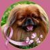 Jo Bailey - Facebook