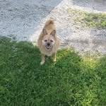 Cathy Jo Gard-Barnhart - @gardbarnhart - Instagram