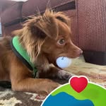 Jo Barnhart - @jojobarnhart54 - Instagram