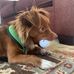 Jo Barnhart - Facebook