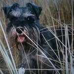 Jo Barton - @barkerssouthport - Instagram