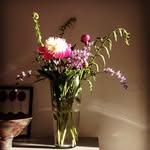 Jo Barton - @jo.ann.barton - Instagram