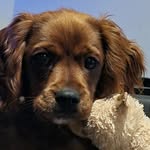 Jo Barton - @jobarton01 - Instagram