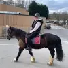 Jo Barton - @jobarton50 - TikTok