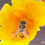 Aimee Jo Belanger Gauvin - @aimee_jo_63 - Instagram