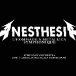 Jo Belanger - @anesthesia_metallica_tribute - Instagram