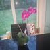 Joe Bender - Facebook