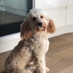 Jo Blackburn - @joblackburn7474 - Instagram
