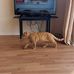 Jo Blake - Facebook