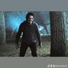 joe_borden - @joborden3 - TikTok
