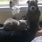 Jo Boyer - @josullivan35 - Instagram