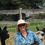 Jo Brady - @jobrady3442 - Instagram