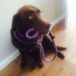 Jo Brett - @jobrett1309 - Instagram