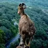 jobrooks - @jobrooks - TikTok