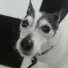 Jo Budden - @jo.budden - TikTok