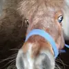 JoBuddy - @jobuddy2 - TikTok