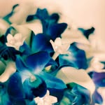Jo Burr - @joan_bar - Instagram