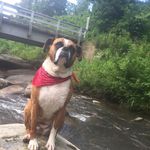 Jo Childers - @jchilders64hotmailcom - Instagram