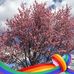 Jo Cline - Facebook
